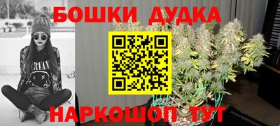 mdpv Дубна