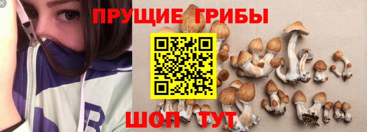 Псилоцибиновые грибы MAGIC MUSHROOMS Нижний Тагил