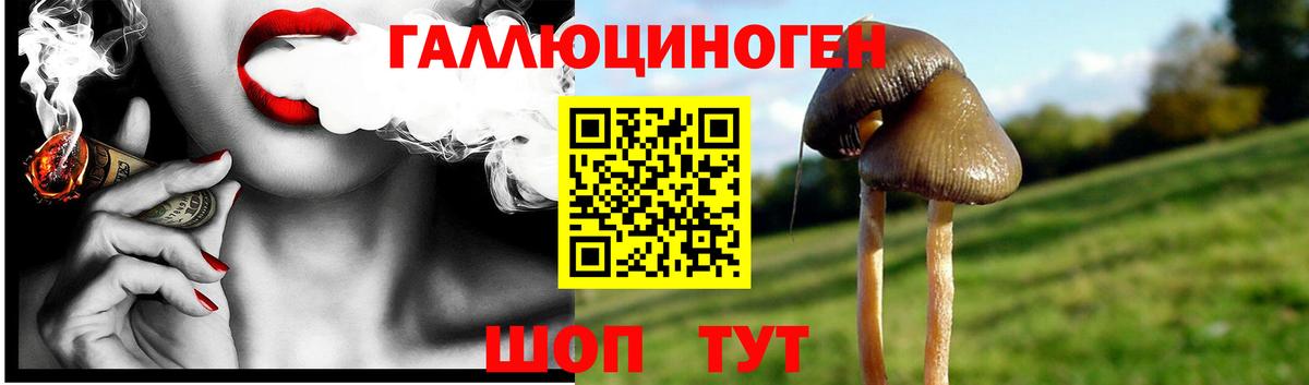 Нижний Тагил  Псилоцибиновые грибы Cubensis  Вход с VPN  Псилоцибиновые грибы Magic Shrooms 